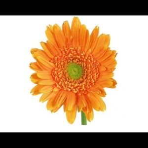 Meet your Posher, Justyn